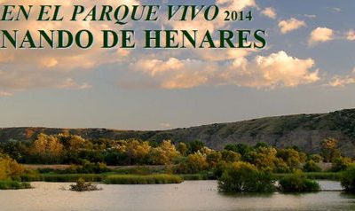 Éxito de participación en las actividades de concienciación medioambiental en San Fernando