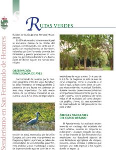Senderismo_sfh