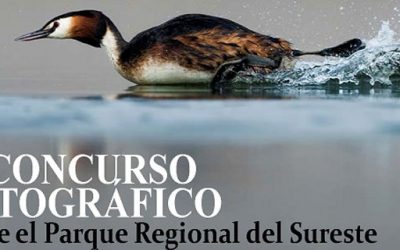 VII Concurso fotográfico sobre el Parque del Sureste