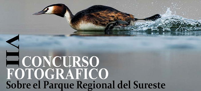 VII Concurso fotográfico sobre el Parque del Sureste