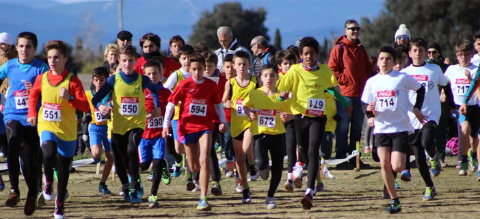 web cross brunete