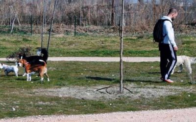 Abierto el ‘Parque Canino’ de 10.000 m2 en San Fernando