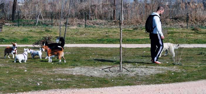 Abierto el ‘Parque Canino’ de 10.000 m2 en San Fernando