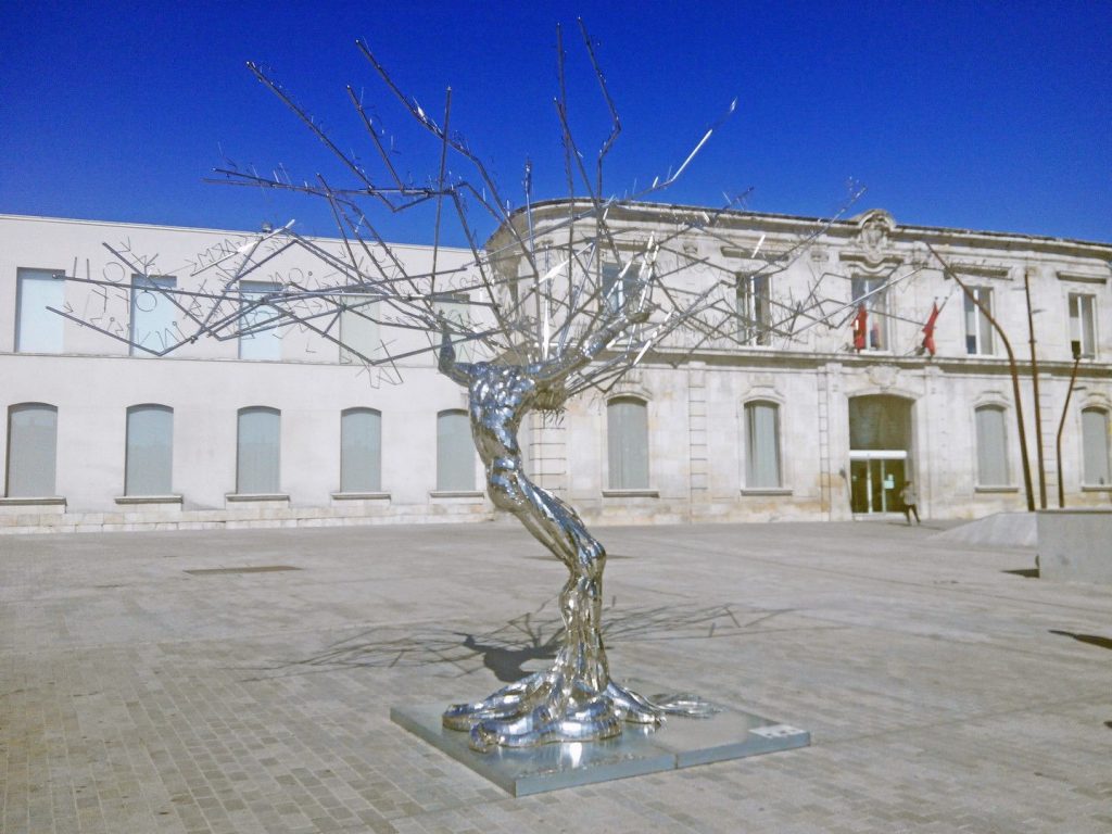 árbol expo (1)