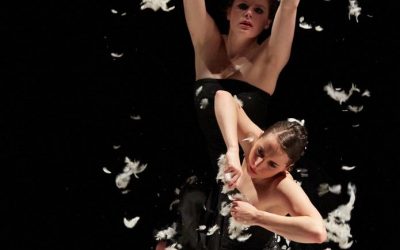 Sábado 21 de Noviembre: Danza Neoclásica FLASH!!!