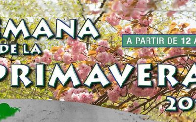 Semana de la primavera 2016 (a partir de 12 años)
