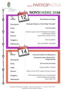 agendaparticinoviembre2016