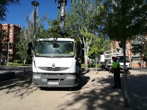 acciones de poda