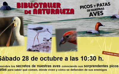 Bibliotaller de naturaleza 28 de Octubre