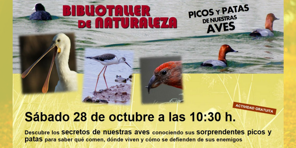Bibliotaller de naturaleza 28 de Octubre