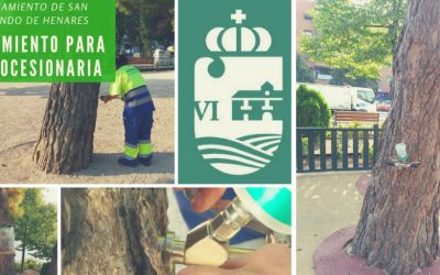 Durante el mes de septiembre se ha procedido al tratamiento de los arboles en San Fernando de Henares contra la procesionaria