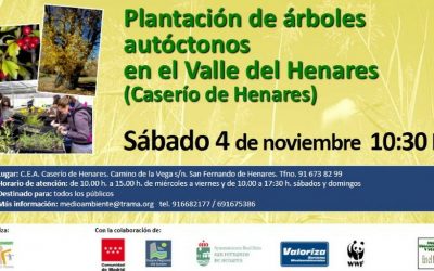 Plantaremos ÁRBOLES autóctonos junto al río Henares