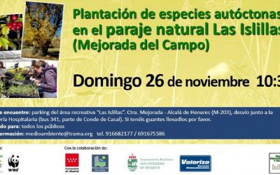 Plantación de árboles y arbustos autóctonos en el valle del Henares