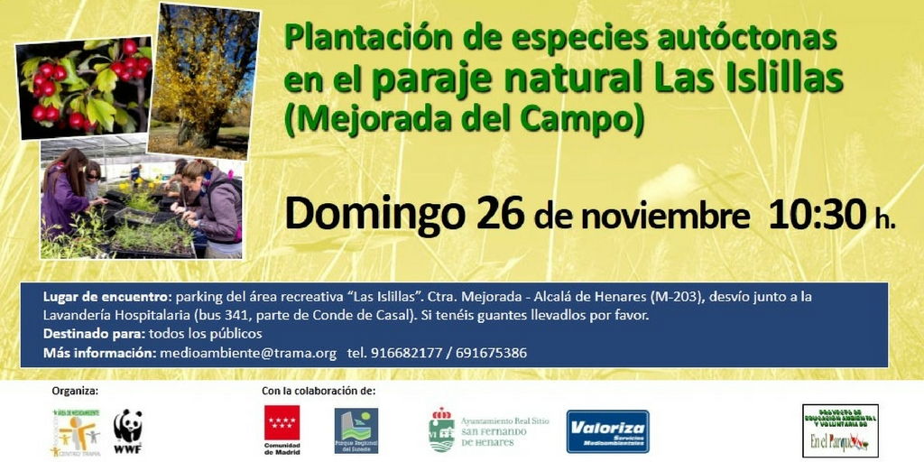 Plantación de árboles y arbustos autóctonos en el valle del Henares