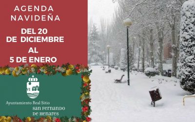 AGENDA DE NAVIDAD