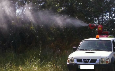 Tratamientos para reducir las plagas de mosquitos