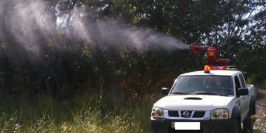 Tratamientos para reducir las plagas de mosquitos