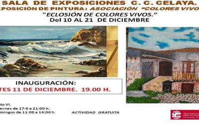 Exposición de pintura: Asociación «Colores vivos»