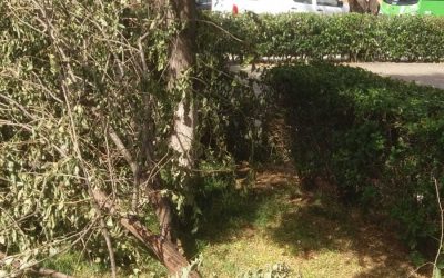 Plan preventivo ante rachas de viento, lluvia y granizo