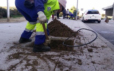 Arranca un plan de arbolado que implicará la plantación de más de un centenar de ejemplares en diversos puntos de la localidad