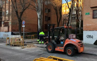 Comienzan las obras para la replantación de árboles en la avenida de Zarauz