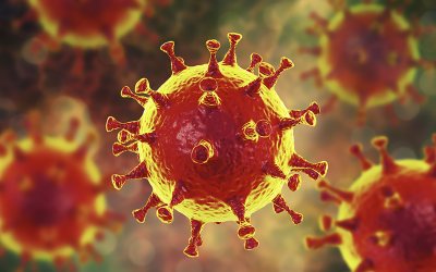Información Coronavirus (COVID-19)