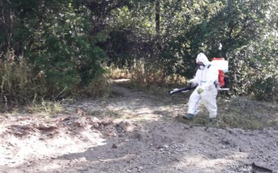 El área de Sanidad redobla esfuerzos ante mosquitos y larvas durante estas jornadas
