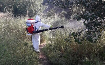 Continúa la campaña de eliminación de larvas y mosquitos con incidencia en inmediaciones del río y en el Polideportivo Municipal