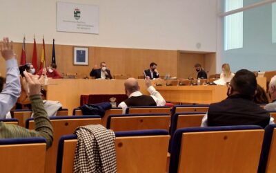 El pleno municipal respalda el primer ‘Pacto Local por el Empleo’ impulsado desde el equipo de Gobierno con el consenso de los sindicatos CC.OO y UGT, y la Asociación de Empresarios del Henares (AEDHE)