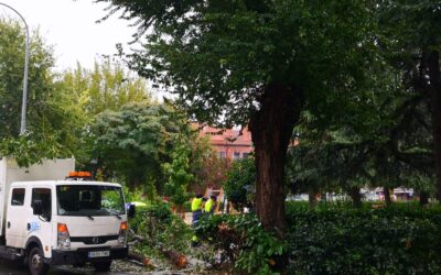 El Ayuntamiento de San Fernando de Henares procede al cierre de parques y espacios arbolados debido a las fuertes rachas de viento que tuvieron lugar anoche y ante previsión de nuevas inclemencias climatológicas para la jornada de hoy