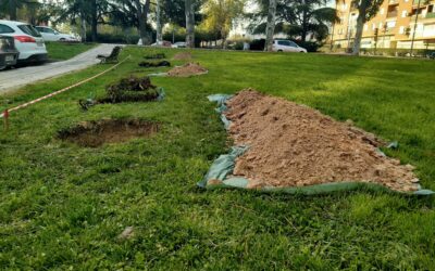 Arranca la segunda fase del ‘II Plan Municipal de Arbolado’ en la explanada verde de la calle Zumárraga
