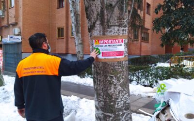 El Ayuntamiento de San Fernando solicita a la ciudadanía extremar las precauciones en zonas arboladas