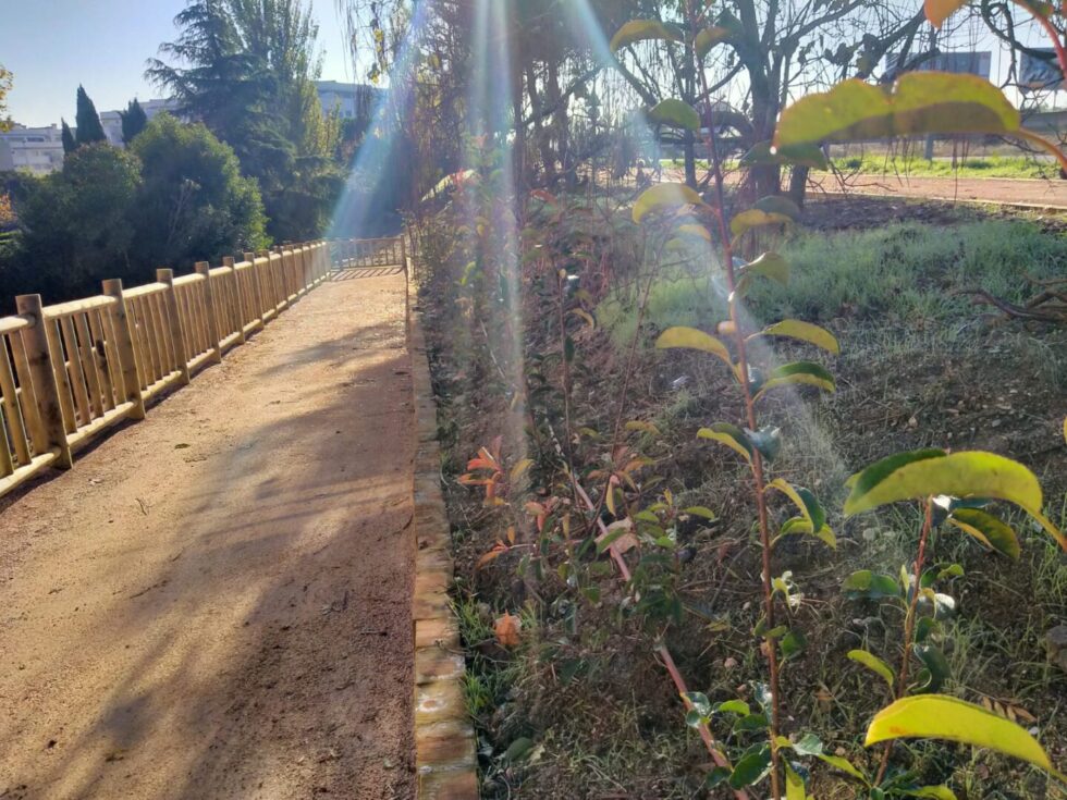 Foto cedida por Ayuntamiento de San Fernando