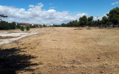 El Ayuntamiento de San Fernando de Henares emprende labores de desbroce con el objetivo de limpieza y acondicionamiento de parcelas municipales evitando, así, riesgos vinculados a incendios