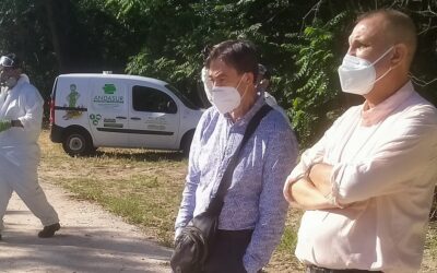 La Concejalía de Sanidad emprende una campaña contra la proliferación de mosquitos y larvas que se completará con el buzoneo de un folleto informativo para vecinos/as