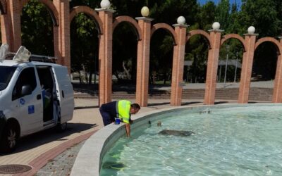 La Concejalía de Mantenimiento de la Ciudad emprende un programa para la limpieza, conservación y desinfección de fuentes ornamentales del municipio