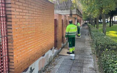 NOTA INFORMATIVA: Plan Municipal de Limpieza de Choque de Pintadas