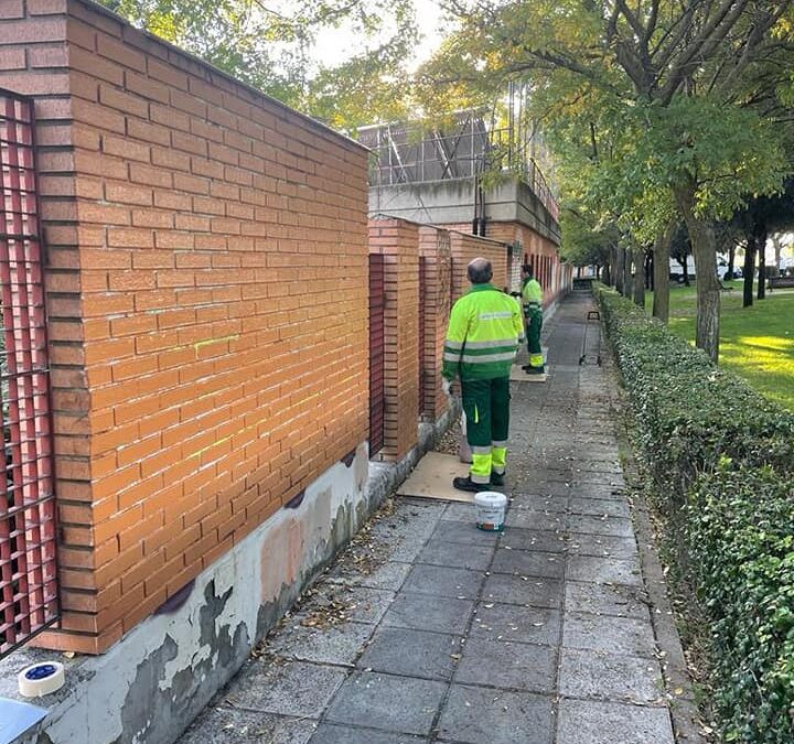 NOTA INFORMATIVA: Plan Municipal de Limpieza de Choque de Pintadas
