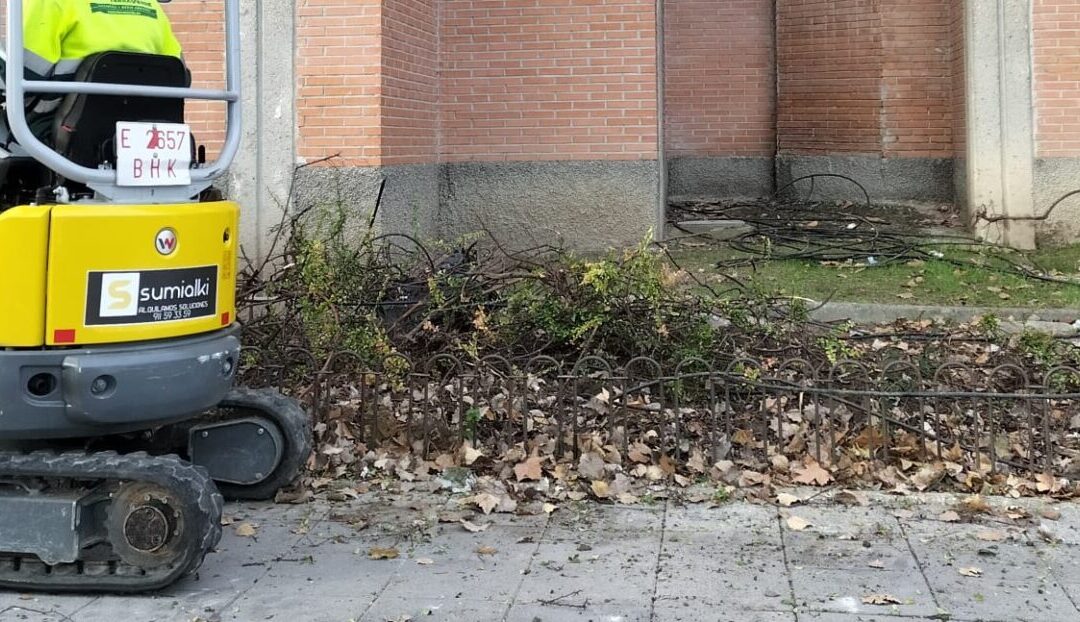 La Concejalía de Mantenimiento de la Ciudad emprende trabajos de mejora de espacios verdes en las avenidas de Irún y Éibar y en calle Zumárraga
