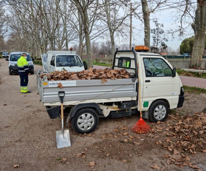 Trabajos de mantenimiento y limpieza en el Paseo de los Chopos