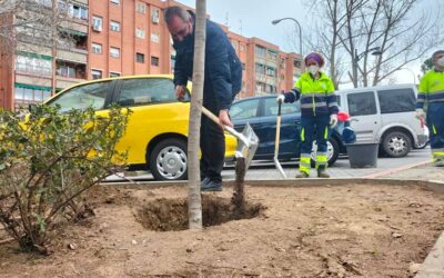 Plantación simbólica de un árbol para conmemorar los 40 años de vida de la Asociación Vecinal Parque Henares
