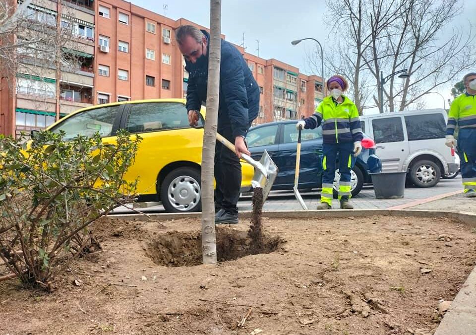 Plantación simbólica de un árbol para conmemorar los 40 años de vida de la Asociación Vecinal Parque Henares