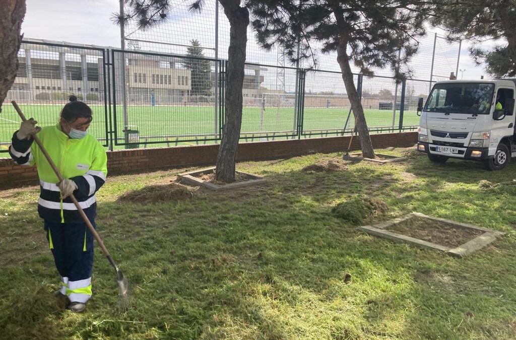 El Ayuntamiento de San Fernando de Henares emprende diversas actuaciones especiales de cara la ‘puesta a punto’ de las zonas verdes para estas semanas de primavera