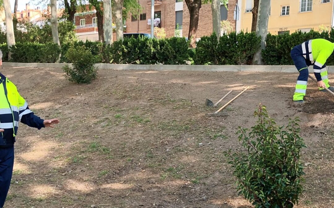 La Concejalía de Medio Ambiente incia labores para la renovación y mejora de la rosaleda del Parque Dolores Ibárruri