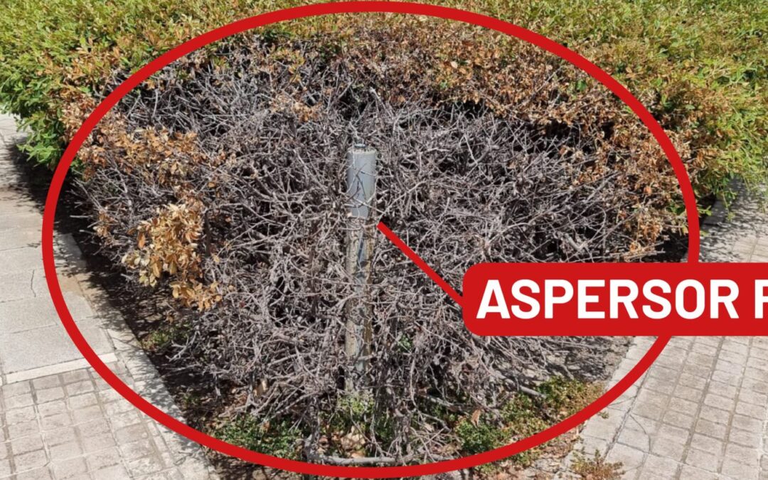 La Concejalía de Medio Ambiente detecta problemas en parques y jardines donde se utiliza agua regenerada del Canal de Isabel II para el riego