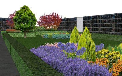 Labores para la mejora y renovación de las zonas verdes y jardinería del Cementerio Municipal
