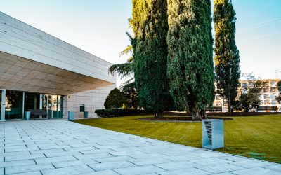 Renovación de la pradera del cementerio municipal, con nuevo césped, sistema de riego y plantación de árboles y arbustiva para embellecer el acceso a las instalaciones