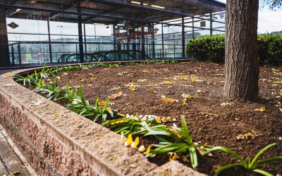 La Concejalía de Medio Ambiente pone en marcha diversos trabajos de renovación de jardinería en la avenida de Algorta, junto a la estación de Metro ‘Henares’