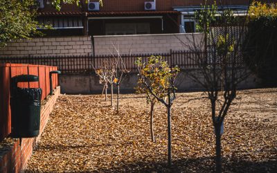 ‘El patio de mi cole es multifuncional’ gana la votación popular de los Presupuestos Participativos 2024