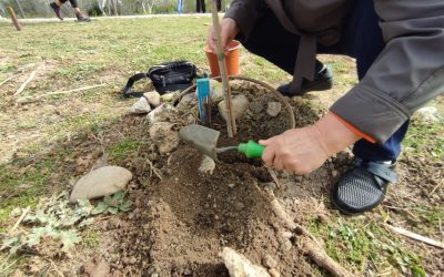 La concejalía de Medio Ambiente vuelve a poner en marcha talleres gratuitos de educación medioambiental